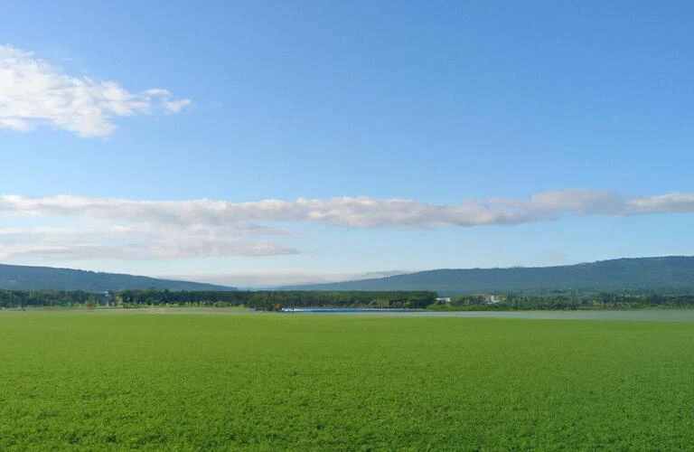 福知山市で新たな和の魅力を発見！